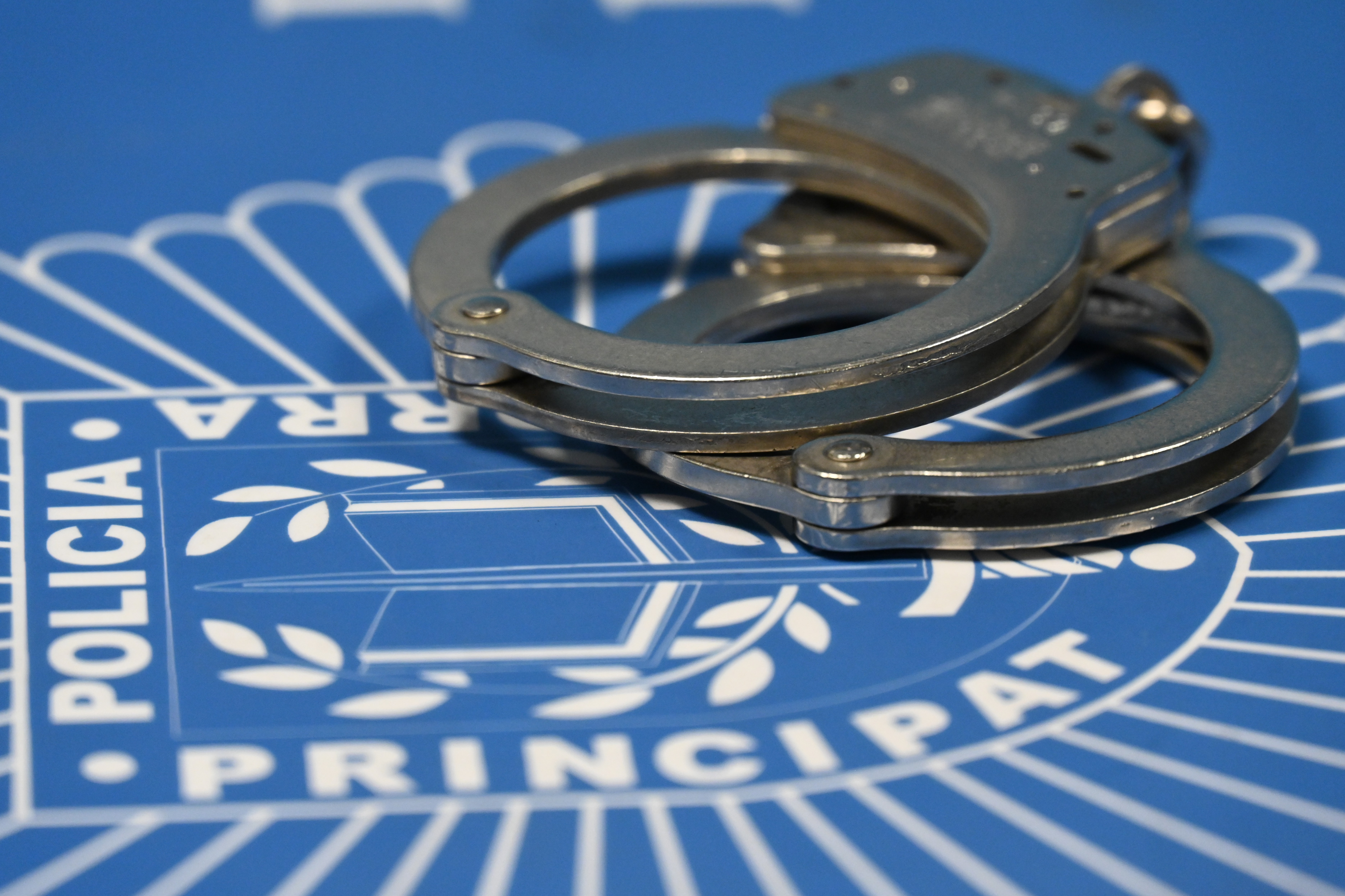 La Policia deté 16 persones durant la setmana